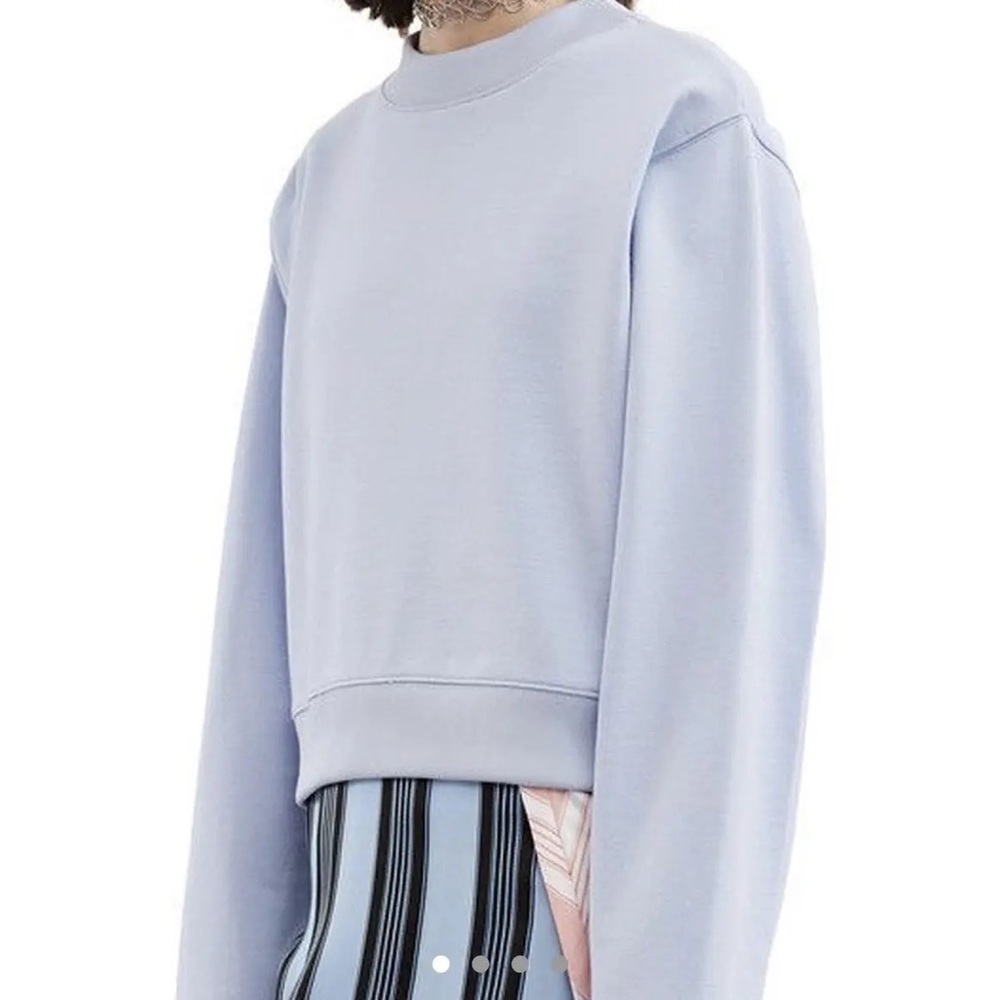 Acne Studios Bird U Fleece Sweatshirt in Baby Blue - Size S